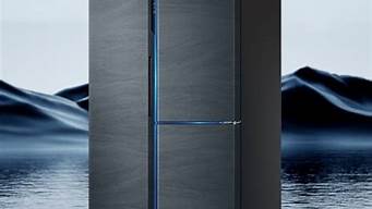 海尔双开门冰箱哪个型号好_海尔双开门冰箱哪个型号好用