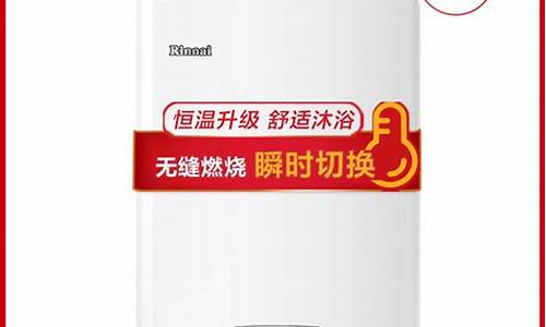 中国热水器十大品牌_中国热水器十大品牌排