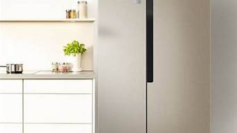 容声电冰箱质量_容声电冰箱质量怎么样